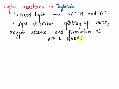 give-a-general-description-of-the-light-and-dark-reactions-of-photosynthesis-light-light-energy-is-converted-into-chemical-energy-atp-dark-carbon-fixation-carbon-is-fixed-into-organic-molecu-17659