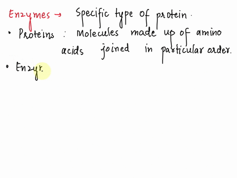 what-can-be-said-about-the-relationship-between-enzymes-and-proteins-a-few-enzymes-are-proteins-no-enzymes-are-proteins-a-few-enzymes-contain-proteins-all-enzymes-are-proteins-all-enzymes-co-49094