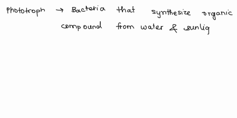 phototroph-chemoorganotroph-chemolithotroph-answer-bank-obligate-intracellular-parasite-that-obtains-energy-from-its-host-bacteria-that-synthesize-organic-compounds-from-water-and-sunlight-s-40597