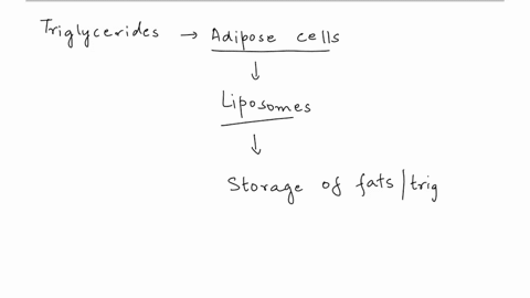 please-help-answer-this-question-and-provide-a-detailed-explanation-thank-you-27____in-eukaryotes-fatty-acids-are-stored-as-triglycerides-in-cells-that-have-a-golgi-that-store-glucose-b-lipo-55151