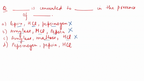 ______-is-converted-to-_______-in-the-presence-of-______-a-pepsin-hcl-pepsinogen-b-amylase-hcl-pepsi-54618