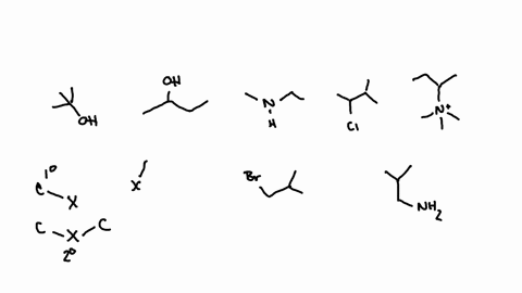 classify-the-following-compounds-as-primary-secondary-tertiary-or-quaternary-based-on-the-type-and-location-of-the-functional-group-drag-the-appropriate-compounds-to-their-respective-bins-vi-51859
