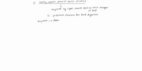 during-the-cephalic-phase-of-gastric-secretion-o-there-is-an-increased-flow-of-action-potentials-along-the-vagus-nerve-to-the-stomach-o-production-of-gastric-juice-slows-down-secretin-inhibi-73767