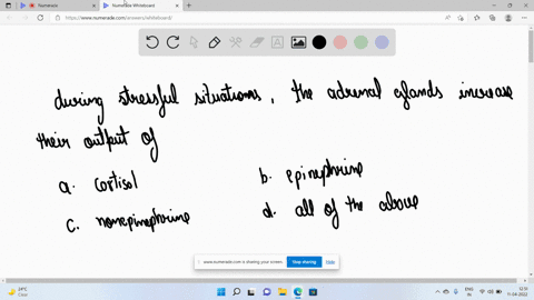 during-stressful-situations-the-adrenal-glands-increase-their-output-of-__________-a-cortisol-b-epin-24721