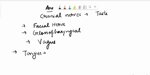list-the-cranial-nerves-that-carry-impulses-assoclated-with-the-sense-of-taste-list-the-cranlal-nerves-that-carry-impulses-associated-with-the-sense-of-taste-check-all-that-apply-check-all-t-97979