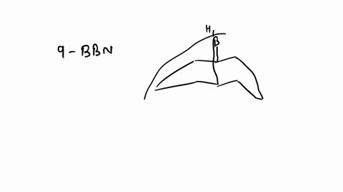 select-tha-major-product-of-the-reaction-below-1-9-bbn-hzoz-naoh-ch-oh-ho-28927