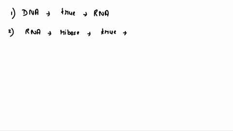 dna-and-rna-differ-in-all-but-one-of-the-following-ways-question-2-options-dna-is-double-stranded-while-rna-is-single-stranded-rna-uses-the-sugar-ribose-in-its-backbone-while-dna-uses-deoxyr-20562