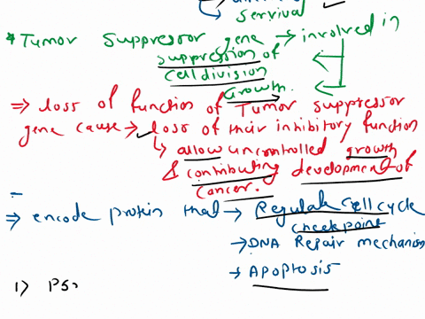 distinguish-between-proto-oncogenes-and-tumor-suppressor-genes-1-classify-the-following-genes-as-proto-oncogenes-or-tumor-suppressor-genes-p53-ras-bcl-2-jun-mdm2-and-p16-give-a-short-explana-21693
