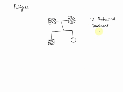 question-23-which-of-the-following-statements-based-on-the-pedigree-above-are-true-select-all-that-apply-no-partial-credit-to-get-the-points-you-must-select-all-the-correct-answers-a-if-the-25965