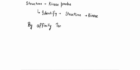 the-structure-of-the-kinase-probe-shown-below-has-been-used-to-identify-the-substrates-of-kinase-under-investigation-please-explain-the-role-of-the-n6-cyclohexylmethyl-group-in-the-probe-for-93458