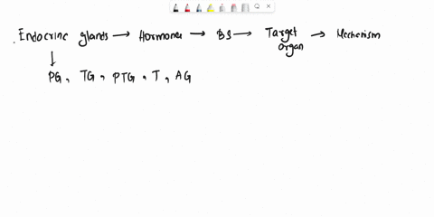 as-a-result-of-this-regulatory-pathway-identify-two-hormones-that-are-released-from-this-endocrine-gland-36328