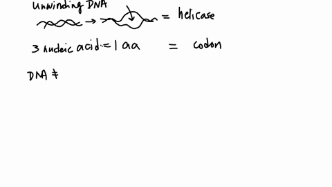 match-the-description-on-the-left-to-the-best-term-on-the-right-enzyme-responsible-for-gluing-together-2-dna-fragments-enzyme-responsible-umwinding-dna-a-sequence-of-3-mucleic-acids-that-code-for-1-am