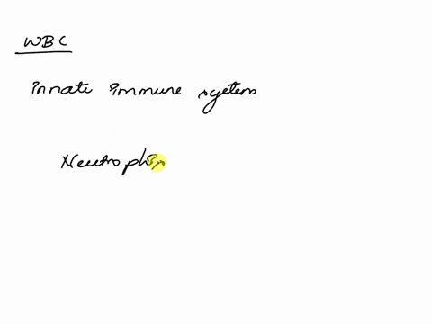 which-immune-cells-dominate-the-white-blood-cell-numbers-in-an-individual-during-early-stages-of-infection-neutrophils-monocytes-dendritic-cells-tcells-8-cells-question-45-15-pts-which-immun-81681
