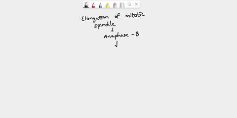 the-elongation-of-the-mitotic-spindle-during-anaphase-is-accompanied-by-contraction-of-overlapping-microtubules-the-net-addition-of-tubulin-subunits-to-the-plus-ends-of-the-polar-microtubule-47831