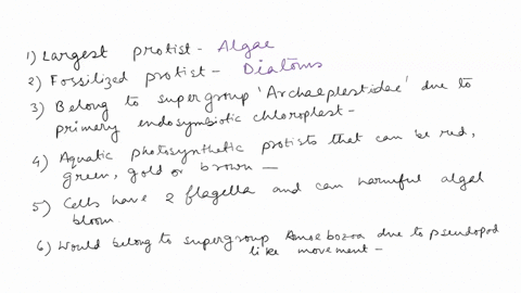 match-each-protist-group-with-the-best-description-would-belong-the-supergroup-amoebozoa-due-to-pseudopod-like-movement-belongs-t0-supergroup-archaeplastida-due-to-primary-endosymbiotic-chlo-09396