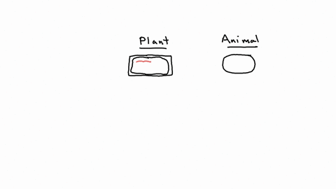 which-statement-best-distinguishes-plant-cells-and-animal-cells-athere-are-more-ribosomes-in-animal-cells-than-in-plant-cells-bplant-cells-have-more-lysosomes-than-animal-cells-have-cplant-c-12123