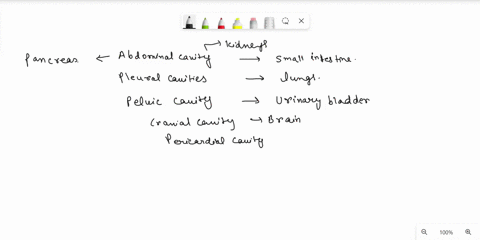 lab-review-introduction-to-the-human-body-numa-scttion-lab-parner-part-a-match-the-body-cavitics-column-to-the-organ-or-organs-in-column-select-the-body-cavity-which-most-specifically-locate-45212