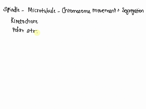 describe-how-microtubules-may-be-used-to-move-chromosomes-or-other-structures-ie-vescicles-around-a-cell-be-sure-to-elaborate-on-the-minus-and-plus-ends-tubulin-polymerizationdepolymerizatio-98551