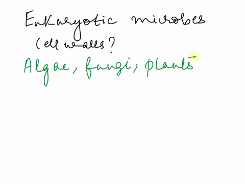 which-types-of-eukaryotic-microbes-have-cell-walls-how-do-their-walls-differ-from-those-of-bacterial-and-archaeal-cells-85507