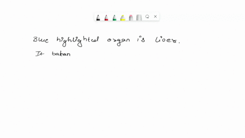 ezto-mheducation-com-mypath-home-lab-quiz-body-orientation-saved-what-is-the-name-of-the-highlighted-organ-3-002916-prev-3-of-12-8-macbook-air-next-76838