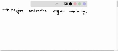 chapter-9-the-endocrine-system-191-the-finale-multiple-choice-22-select-the-best-answer-or-answers-from-the-choices-given-1-the-major-endocrine-organs-of-the-body-a-tend-to-be-very-large-org-89513