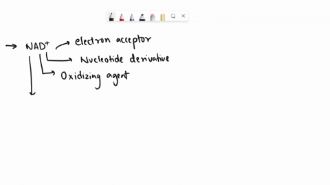 nad-is-an-select-one-or-more-a-electron-acceptor-b-reducing-agent-c-stand-in-for-atp-d-nucleotide-derivative-e-oxidizing-agent-f-electron-donor-37458