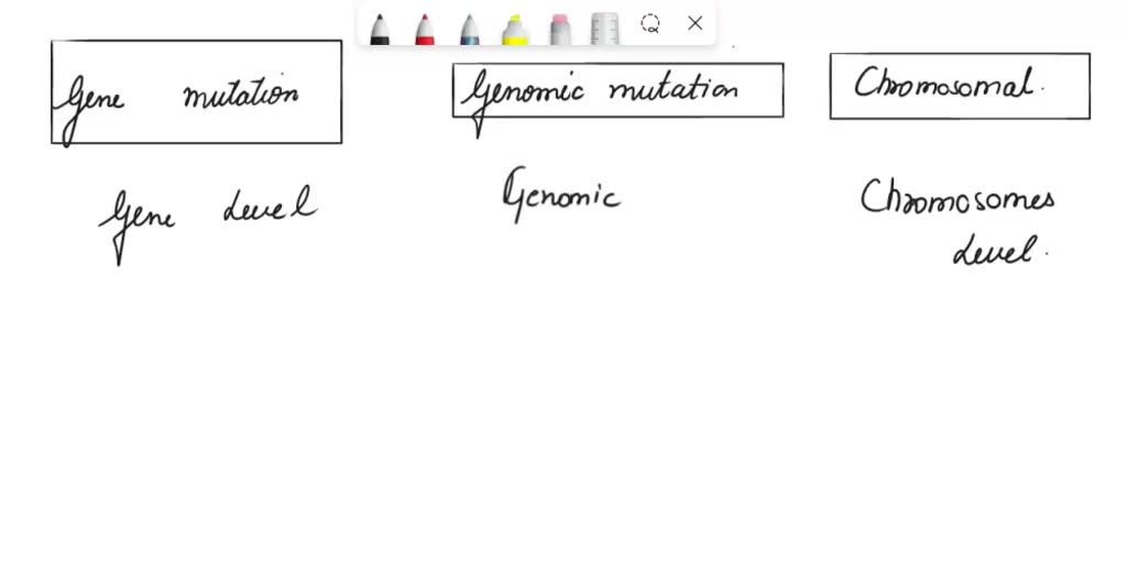 SOLVED What are the differences between the algorithm and the