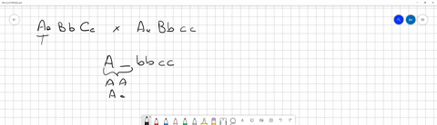 in-a-cross-between-aabbcc-and-aabbcc-what-proportion-of-the-offspring-would-be-expected-to-be-a_bbcc-where-a_-means-either-aa-or-aa-give-your-answer-as-a-fraction-eg-12-or-716-79107