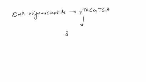 the-dna-oligonucleotide-abbreviated-ptacgtga-a-has-a-phosphate-on-its-3-end-bii-has-4-pyrimidines-c-has-3-purines-d-has-a-a-at-its-3-endl-03137