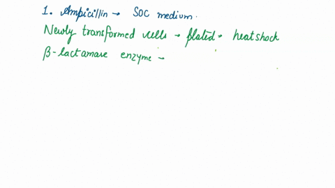 1-why-is-ampicillin-not-included-in-the-soc-medium-after-the-cells-have-been-heat-shocked-what-would-happen-to-the-cells-if-ampicillin-were-included-at-this-step-2-why-is-uncut-plasmid-used-25558
