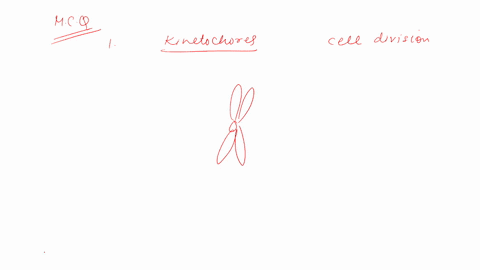 question-46-2-points-which-of-the-following-statements-describing-kinetochores-is-correct-they-attach-to-the-ring-of-actin-along-the-cytoplasmic-surface-of-the-plasma-membrane-causing-the-ac-39125