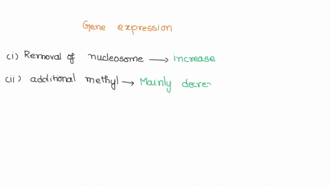 question-12-notvet-answered-marked-0ut-flug-question-in-a-eukaryotic-cell-how-would-each-of-the-following-affect-gene-expression-removal-of-nucleosomes-from-the-dna-addition-of-a-methyl-grou-60107
