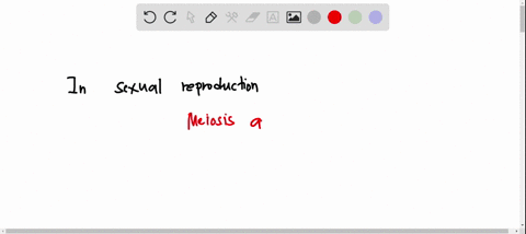 in-sexual-reproduction-select-answer-meiosis-alone-mitosis-alone-meiosis-and-mitosis-produce-genetically-diverse-select-answer-triploid-cells-haploid-gametes-diploid-43263