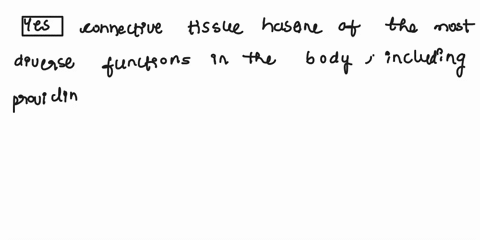 the-connective-tissue-is-a-tissue-that-supports-protects-and-gives-structure-to-other-tissues-and-organs-in-the-body-do-you-think-the-connective-tissue-has-the-most-diverse-functions-in-our-67578