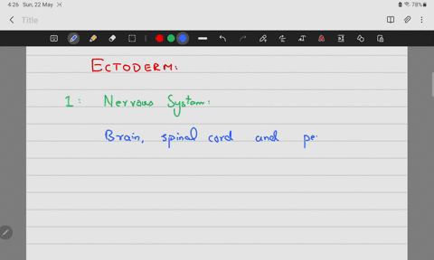 from-which-germ-layer-do-the-epidermis-and-the-nervous-system-originate-what-are-other-organs-and-tissues-made-from-that-germ-layer-27732