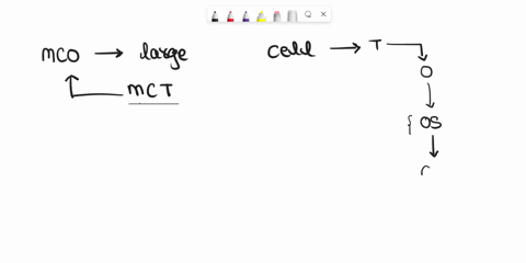 what-is-the-structural-classification-of-the-highlighted-joint-fibrous-cartilaginous-syndesmosis-synovial-64275