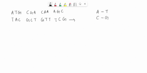 a-t-g-c-g-a-t-a-c-g-t-c-a-a-a-g-g-t-t-t-g-non-coding-dna-strand-mrna-codons-trna-anticodons-amino-acids-second-letter-nnn-ucu-uau-non-u-phe-ty-crs-iuc-ucc-uac-ucc-0-st-uua-uca-uaa-stop-ysn-s-30267