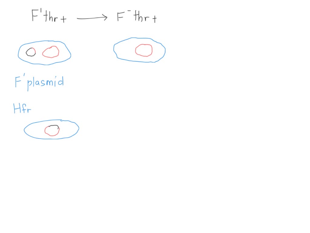 Arg SOLVED: Question 5 (Conjugation): In an interrupted mating mapping ...