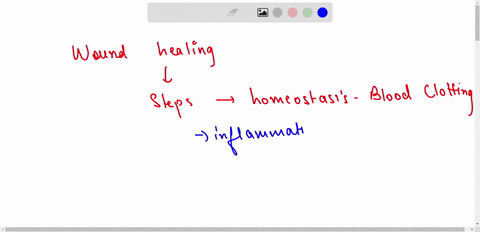 what-are-the-steps-of-the-healing-of-a-wound-to-the-skin-please-use-complete-sentences-86496