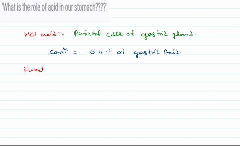 what-is-the-role-of-acid-in-our-stomach-77946