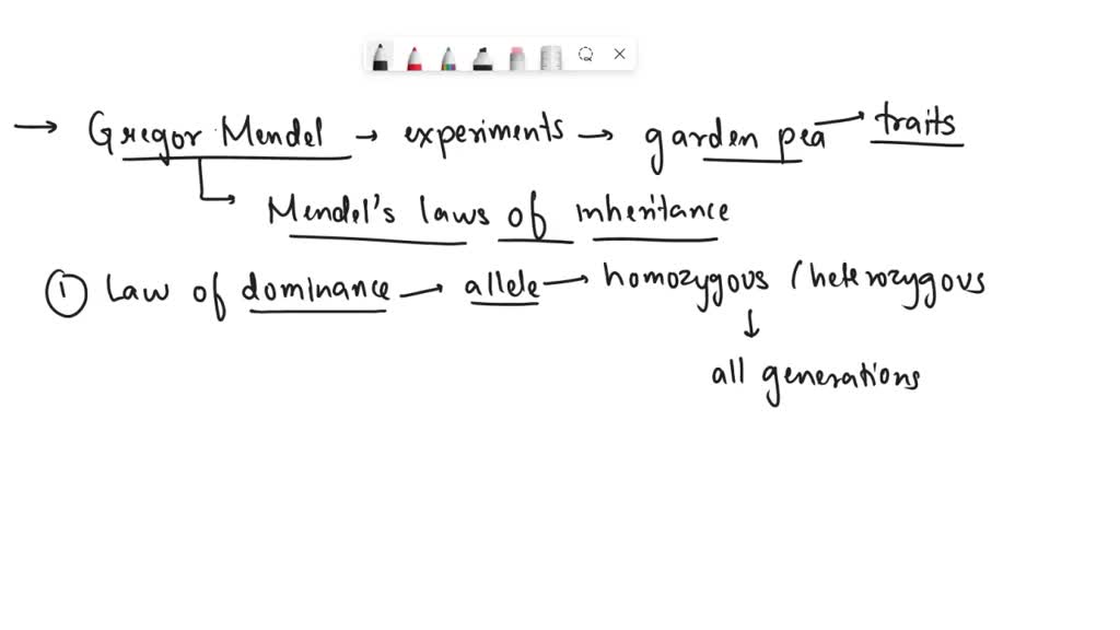 SOLVED What are Mendel's laws of inheritance? How do they influence