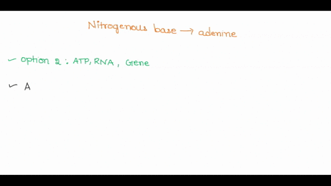 the-nitrogenous-base-adenine-is-found-in-all-members-of-which-of-the-following-groups-proteins-carbohydrates-and-atp-0-atp-rna-and-gene-glycerol-glucose-and-dna-0-fat-atp-and-protein-0-llj-49998