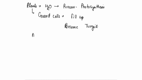 the-rate-of-photosynthesis-can-be-affected-by-several-factors-such-as-light-intensity-temperature-water-and-carbon-dioxide-describe-how-the-lack-of-water-in-an-environment-can-affect-the-amo-07193