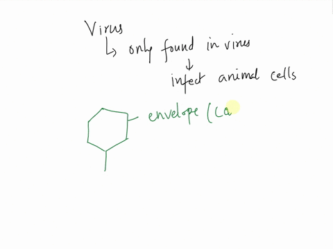 which-virus-structure-is-found-only-in-viruses-that-infect-animal-cells-98908
