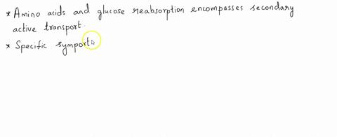 glucose-and-amino-acids-are-reabsorbed-by-secondary-active-transport-true-or-false-54735