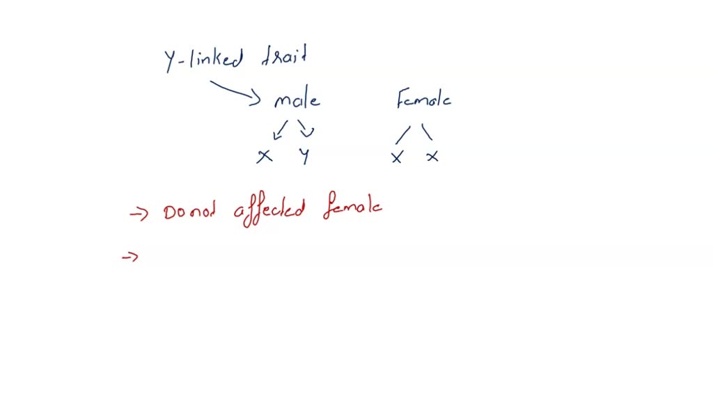 solved-which-statements-describe-y-linked-traits-females-have-greater