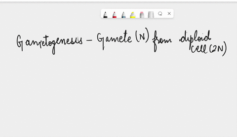 1-how-does-the-process-of-spermatogenesis-relate-to-gamete-formation-10-points2-indicate-the-gametes-which-will-form-from-the-individuals-having-the-following-genotypes-5-points-eacha-aabb-b-72886