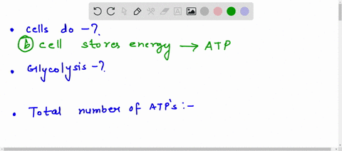 3-what-do-your-cells-do-with-the-energy-released-from-your-food-a-your-cells-use-the-energy-to-produce-glucose-b-your-cells-store-the-energy-in-atp-c-your-cells-use-the-energy-to-oxidize-oxy-62978