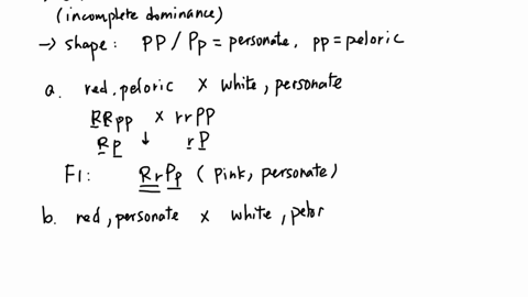 as-in-the-plants-of-problem-6-color-may-be-red-white-or-pink-and-flower-shape-may-be-personate-or-pe-29536