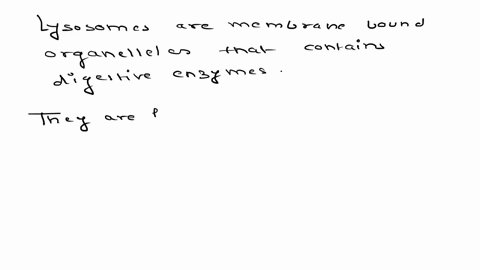 le-organelle-that-is-responsible-for-breaking-d-orn-out-organelles-is-the-mitochondria-the-golgi-apparatus-the-nucleus-the-smooth-endoplasmic-reticulum-the-lysosome-all-of-the-above-none-of-83301